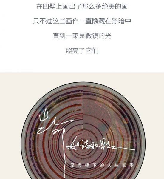 新书速递｜《生命 如诗如歌》当代显微影像里的诗歌美学