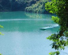 历史遗留问题久拖不决，全国首家民营国家森林公园面临“灭顶之灾”