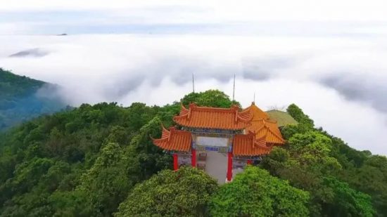 “电老虎”一把抓破了东莞的脸皮