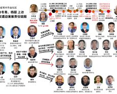 江苏老妇庭审三次心脏病发作 法官仍强审